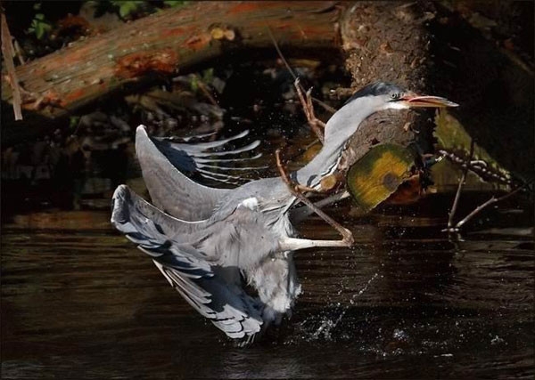 Мягкая посадка