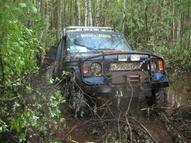 ...лес густой...