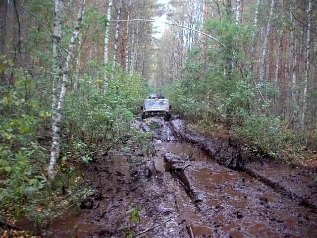 Тверские леса