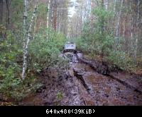 Тверские леса