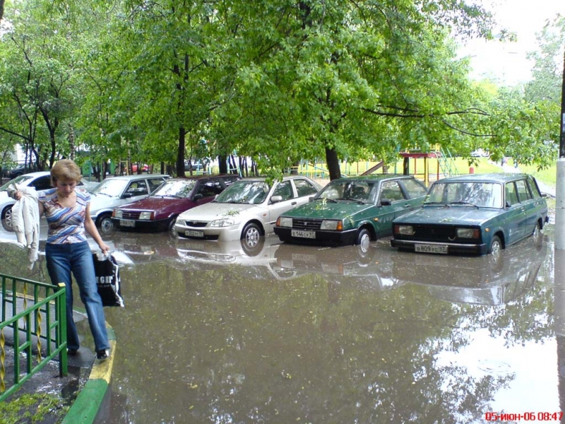 ...а они купаются
