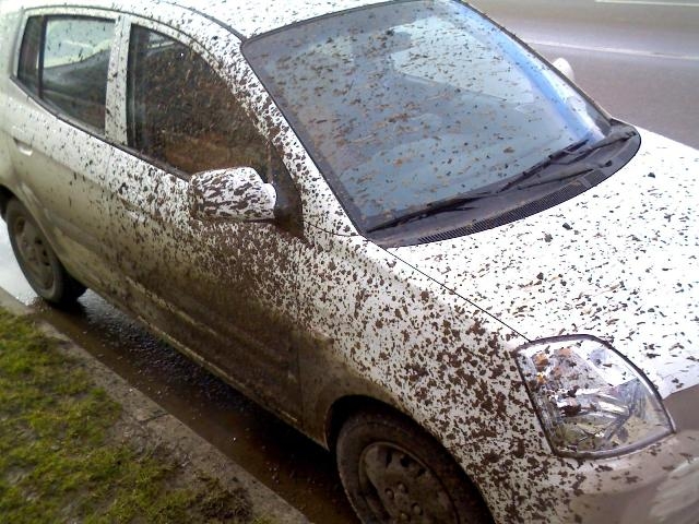 Вот так вот :)