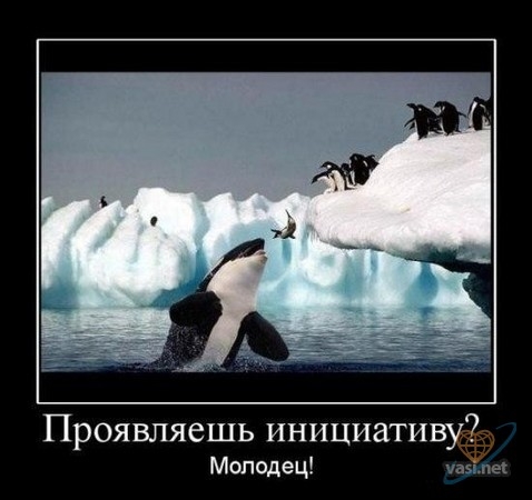 Проявлякшь инициативу?
