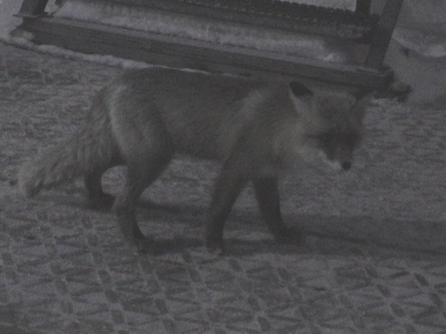 Где так долго был?