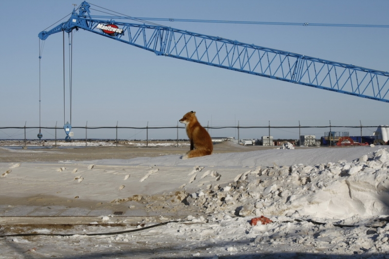 Вернулся - 1