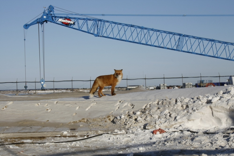 Вернулся - 2