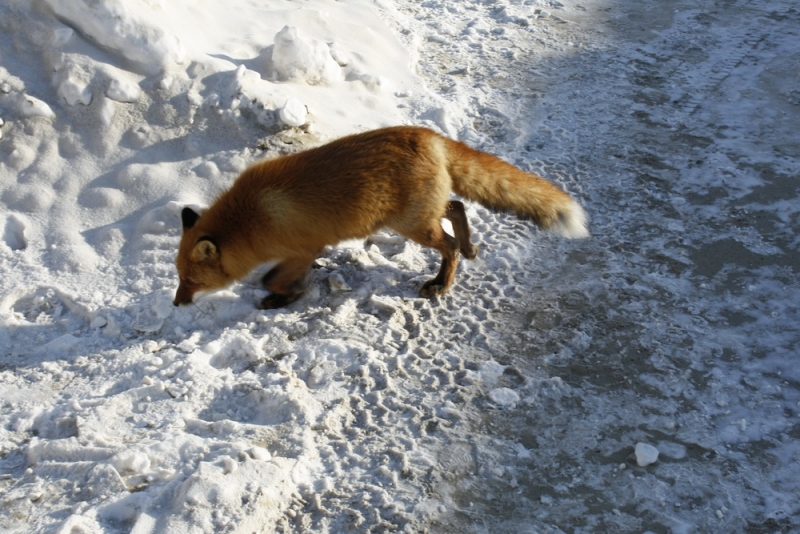 Вернулся - 4