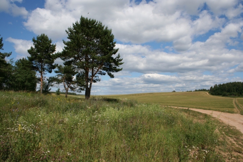 Подмосковье. Чулково. Боровский курган. Поле