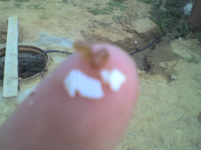 Скорлупа из скважины