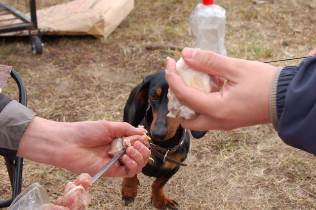 Апрельский выезд