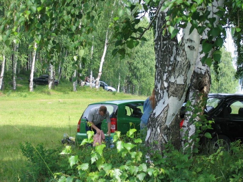 В траве зеленую почти не видно