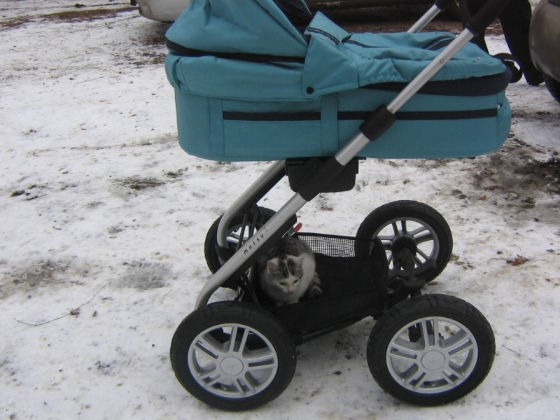 Встреча на Лесном 17.11.07