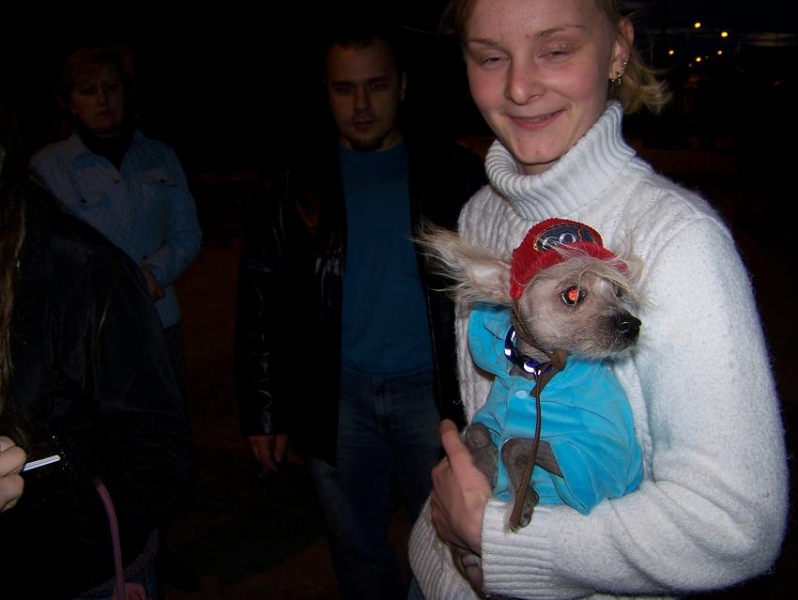 главный на форуме