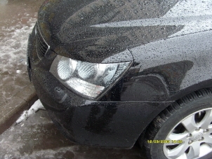 Мой Брюнет.